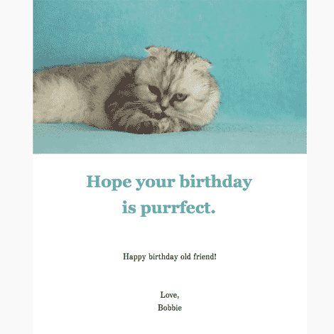 Birthday Cat eCard